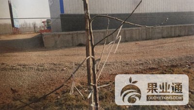 微信图片_20181227152541.jpg