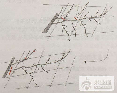 微信图片_20190105093926.jpg