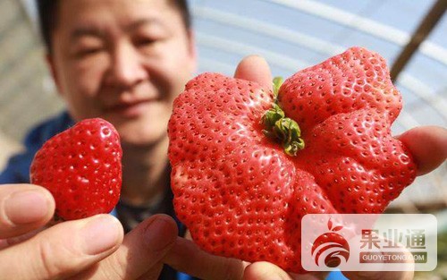 微信图片_20190105093906.jpg