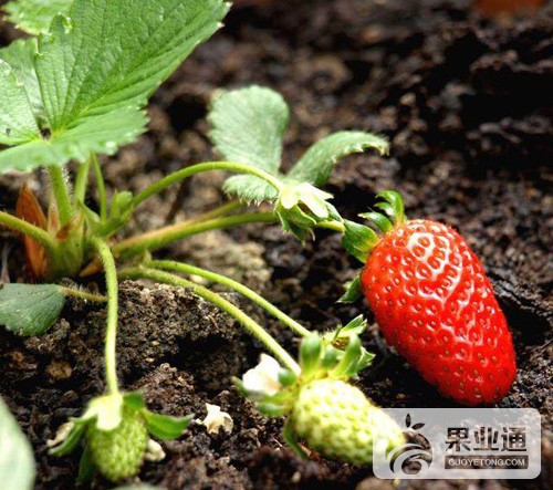 u=2020785664,166954693&amp;fm=173&amp;app=25&amp;f=JPEG.jpg