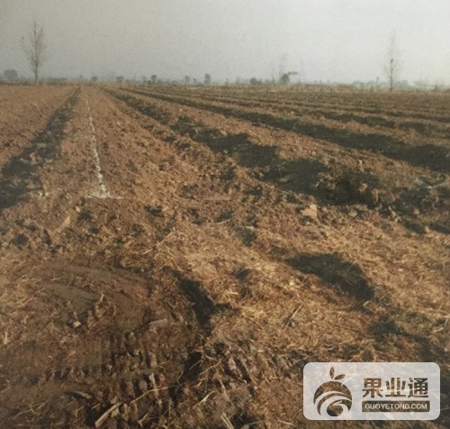 微信图片_20190107161451.jpg