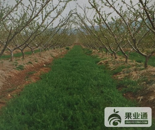 微信图片_20190107161507.jpg