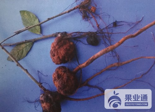 微信图片_20190109155703.jpg