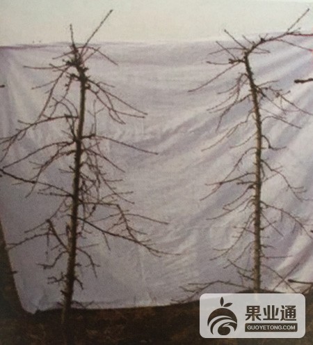 微信图片_20190111153941.jpg