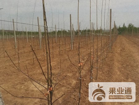 微信图片_20190117093153.jpg