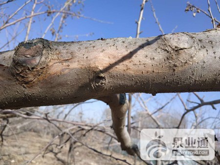 微信图片_20190128153544.jpg