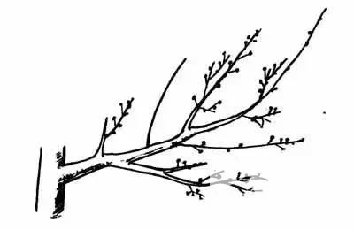 微信图片_20190220153801.jpg
