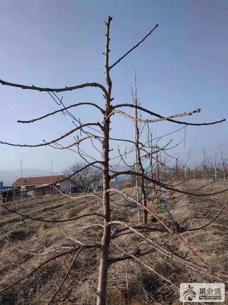 微信图片_20190225160906.jpg
