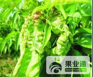 微信图片_20190305164254.jpg