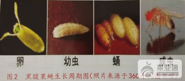 1551686945843.jpg
