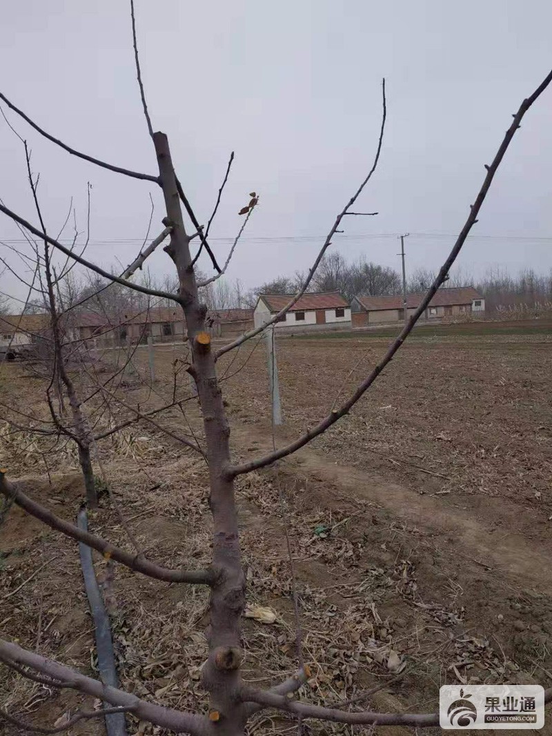 微信图片_20190310141203.jpg