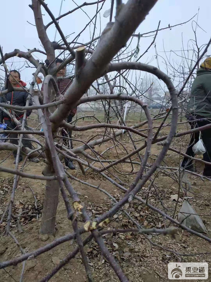 微信图片_20190312164450.jpg