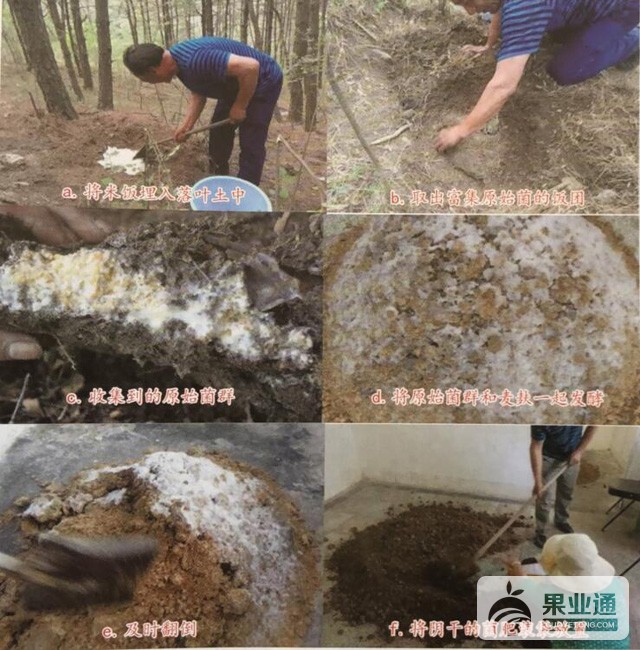 图1.jpg