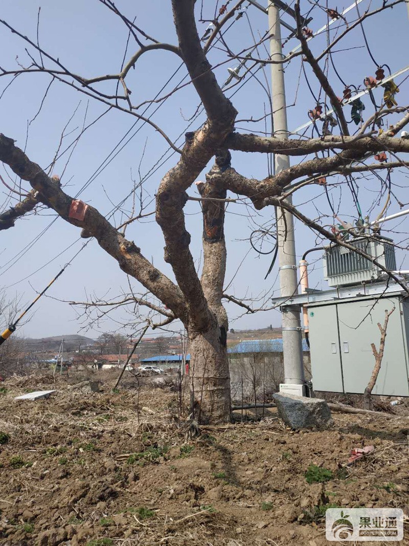 微信图片_20190331082942.jpg