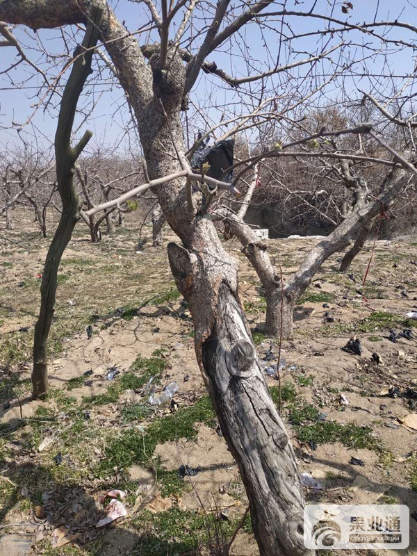 微信图片_20190410160501.jpg