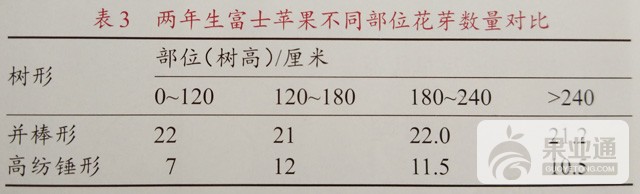 表3.jpg