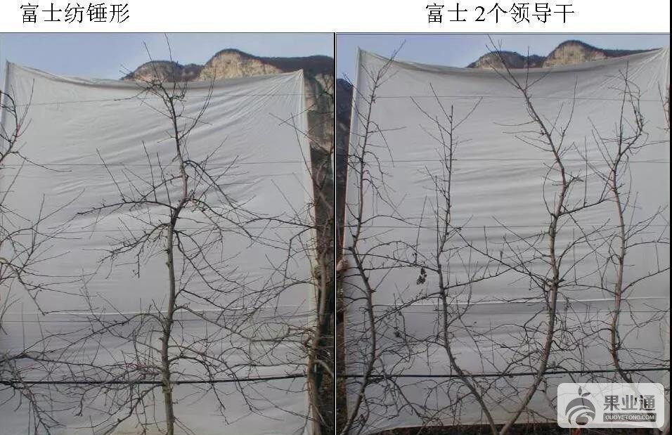 微信图片_20190425162204.jpg