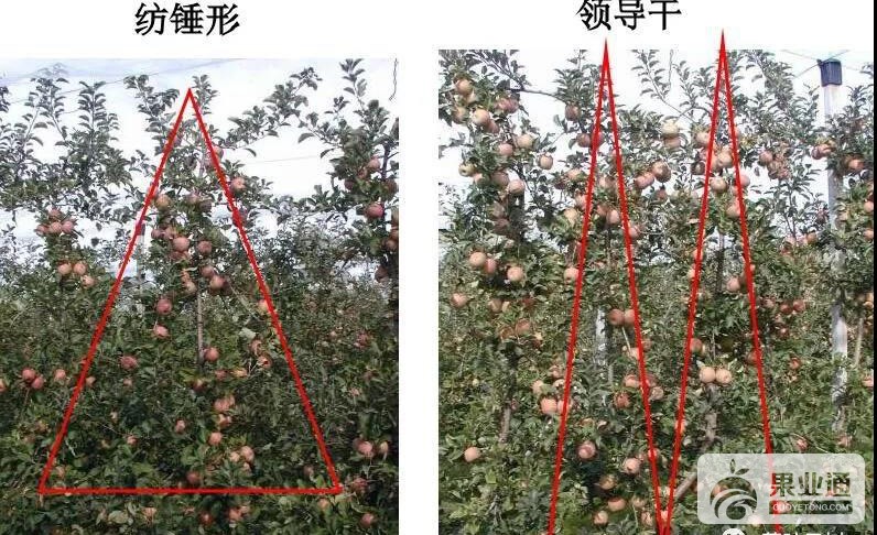 微信图片_20190425162206.jpg