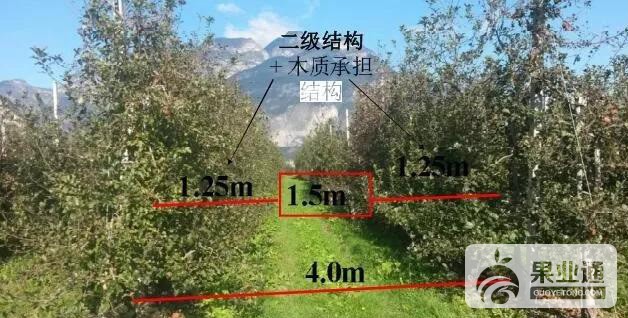 微信图片_20190425162147.jpg