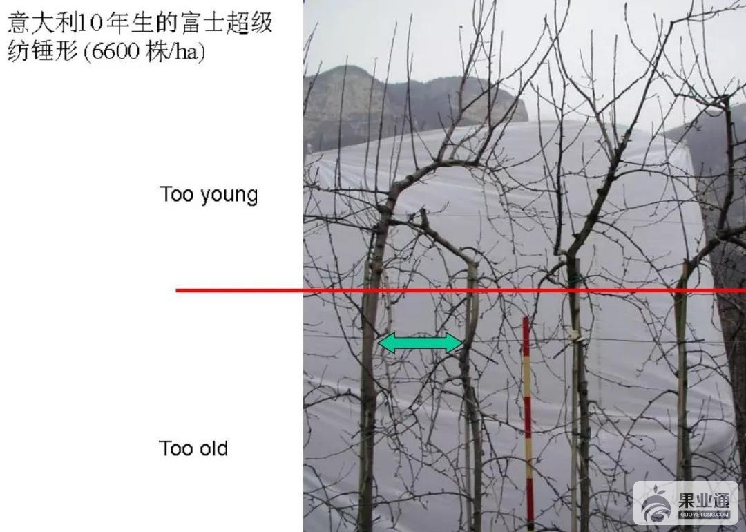 微信图片_20190425162159.jpg