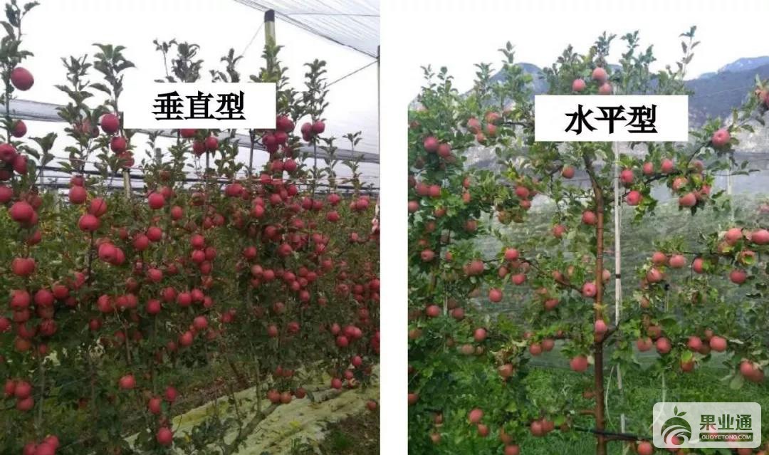 微信图片_20190425162202.jpg