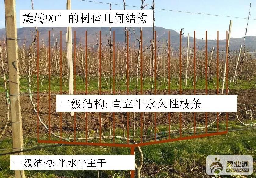 微信图片_20190425162214.jpg