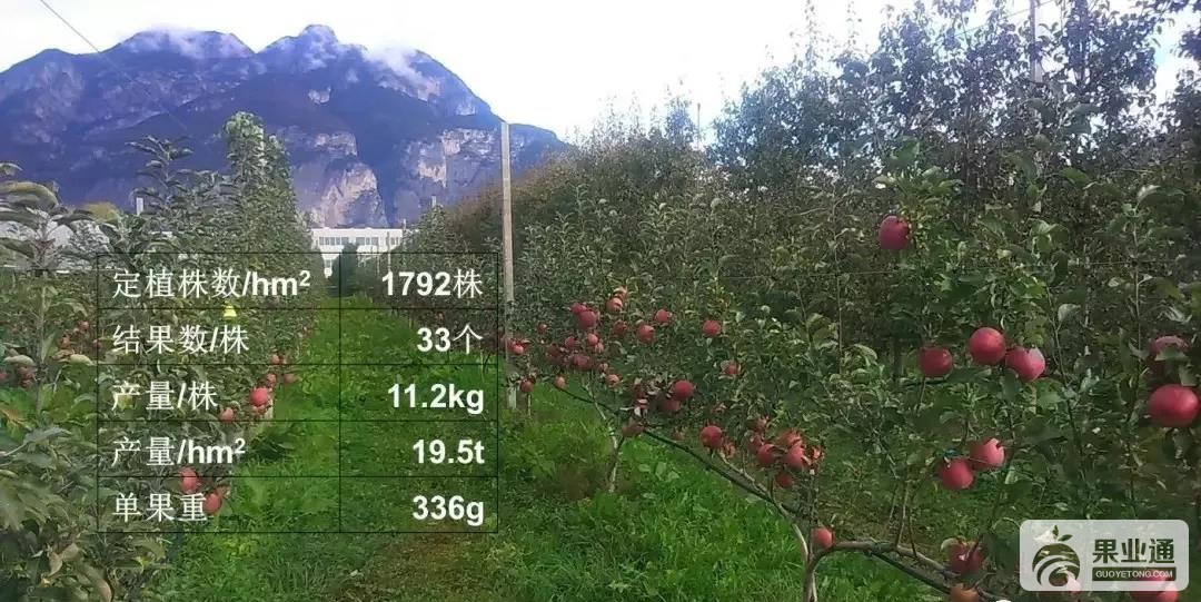 微信图片_20190425162229.jpg