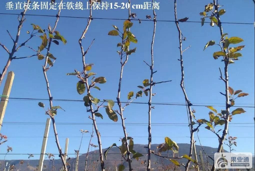 微信图片_20190425162218.jpg