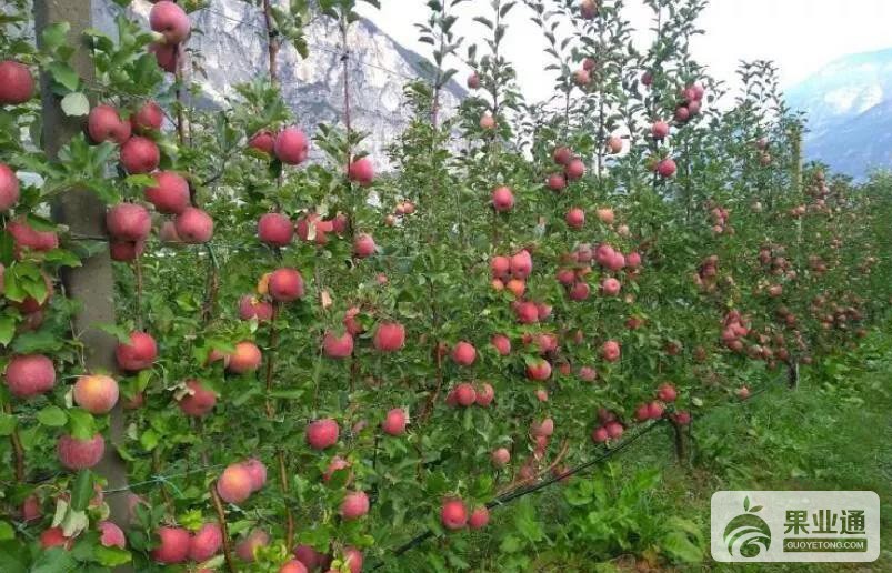 微信图片_20190425162235.jpg