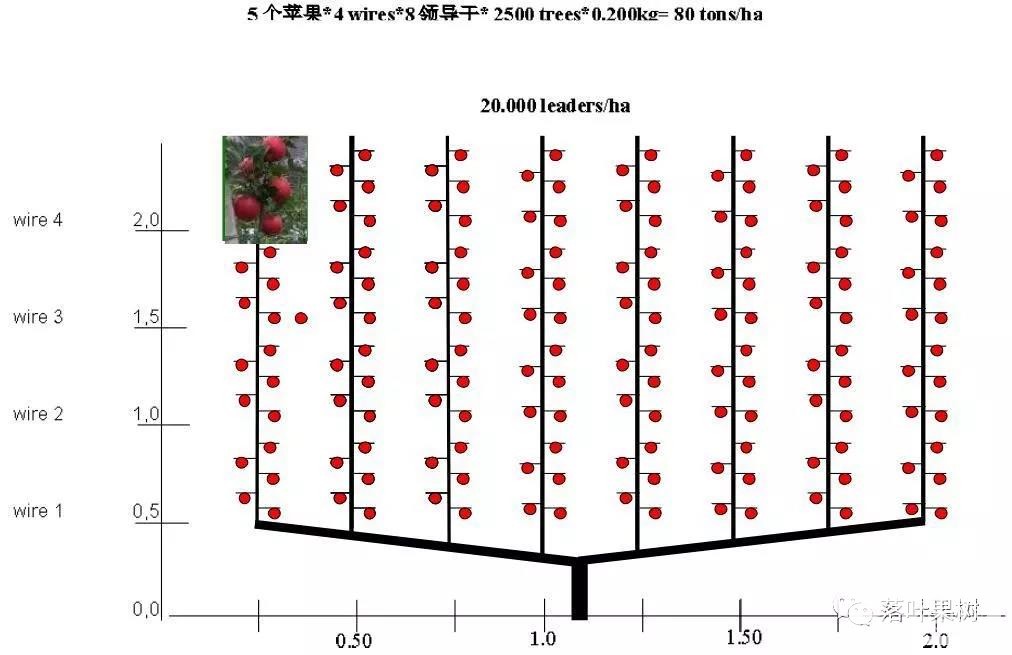 微信图片_20190425162237.jpg