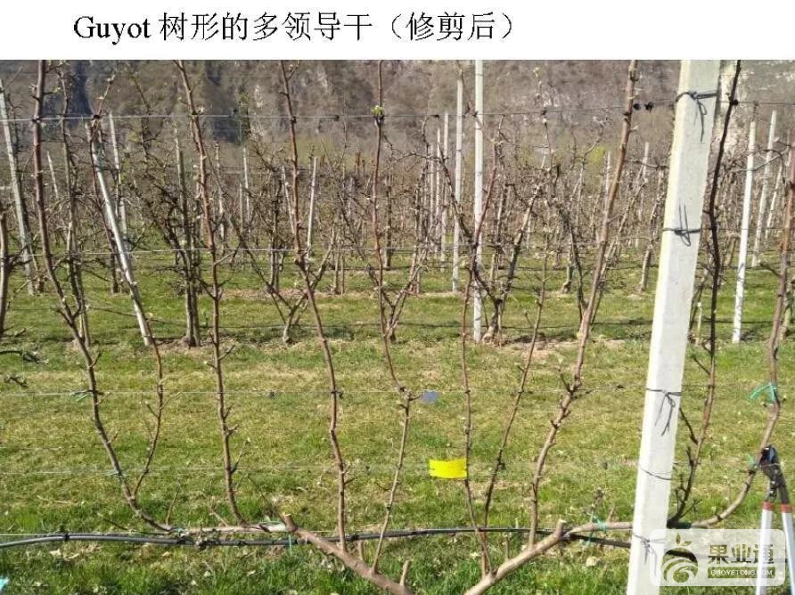 微信图片_20190425162243.jpg