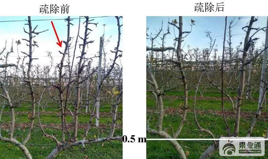 微信图片_20190425162239.jpg