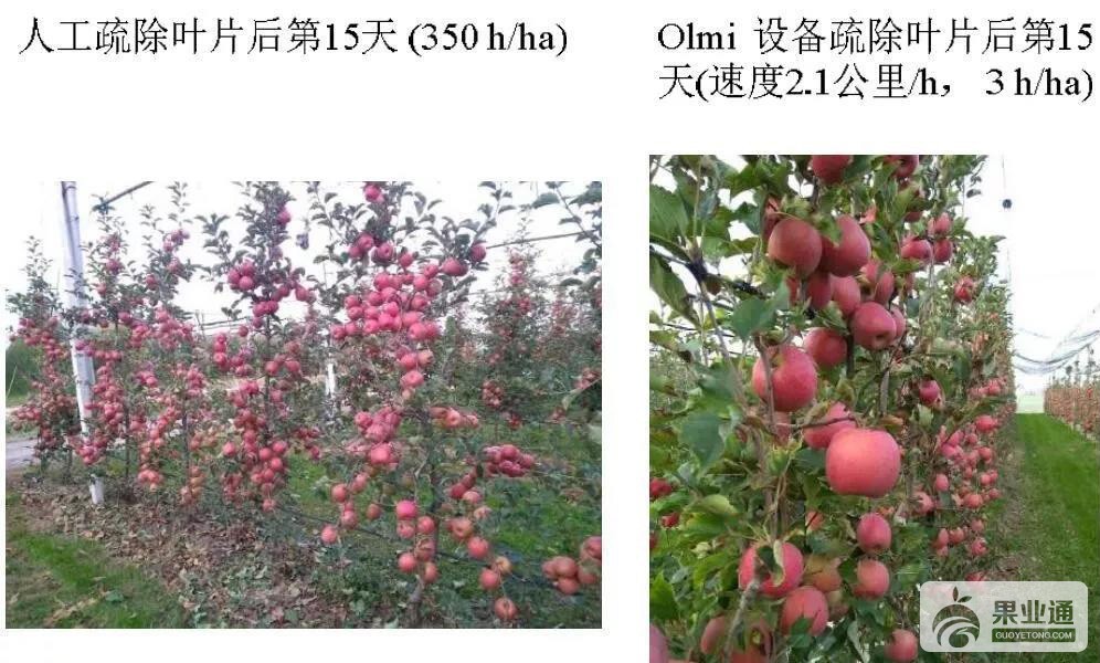 微信图片_20190425162247.jpg