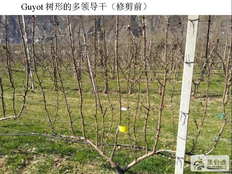 微信图片_20190425162241.jpg