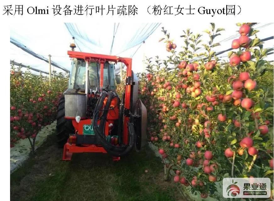 微信图片_20190425162245.jpg
