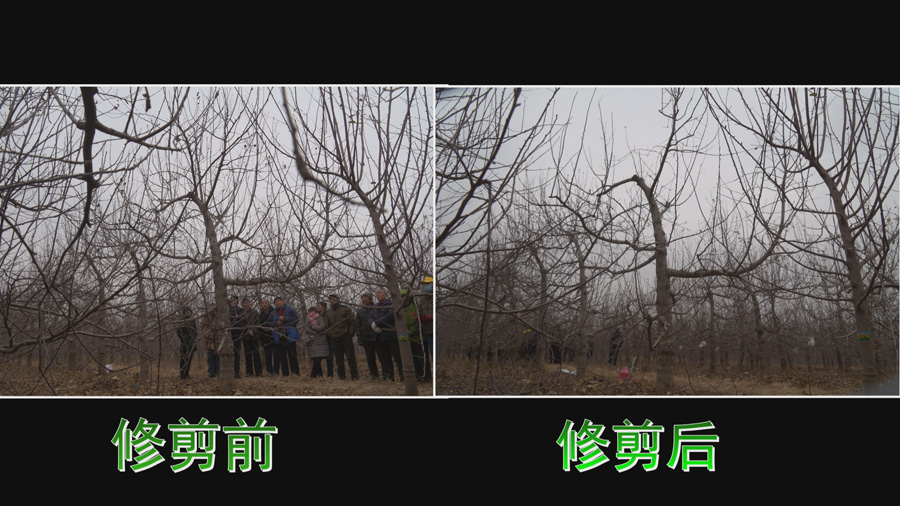 Still0107_00045.jpg