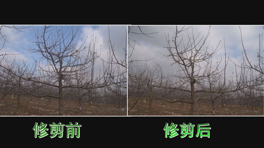 Still0107_00000.jpg