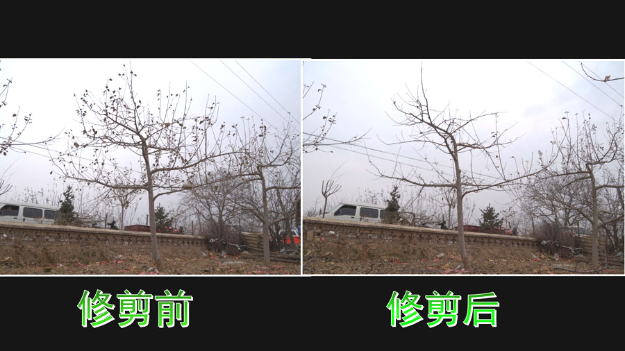 Still0109_00025.jpg