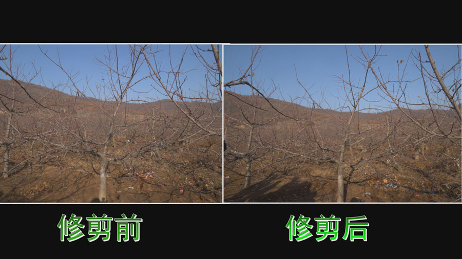 Still0106_00008.jpg