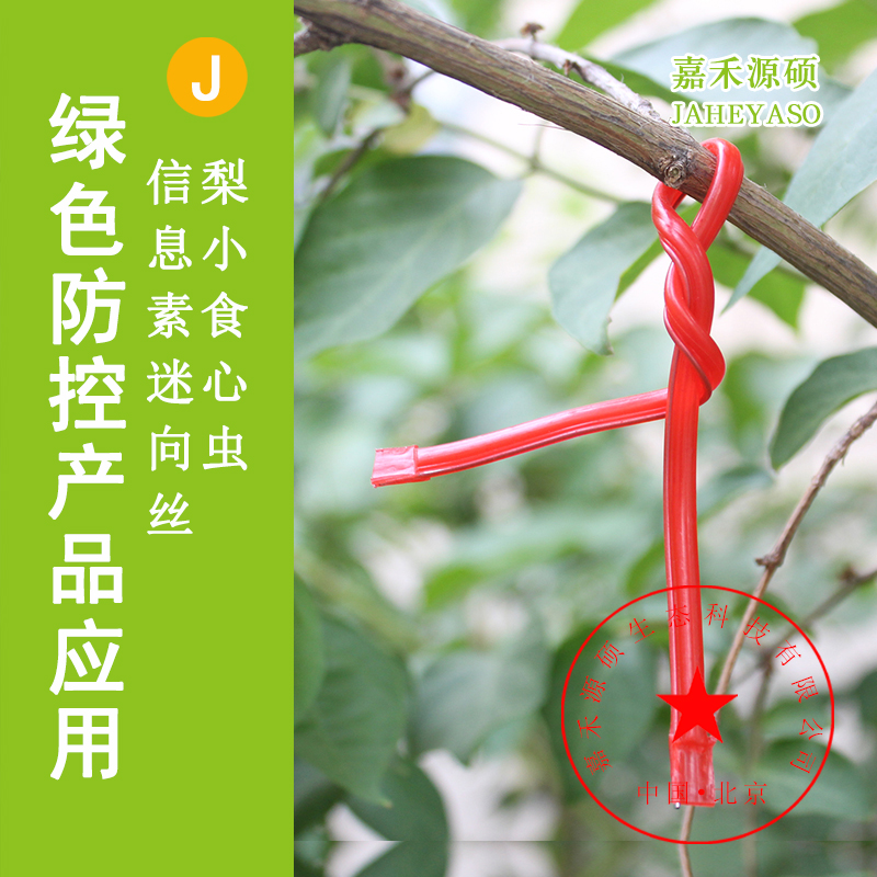 迷向丝主图2.jpg