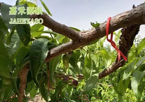 微信图片_20200212143148.jpg