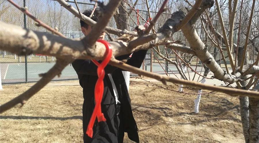 微信图片_20200214121756.jpg
