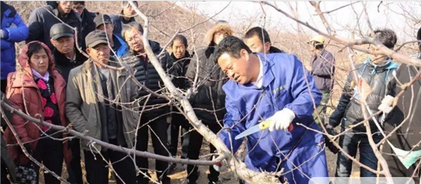 微信图片_20200215154430.png