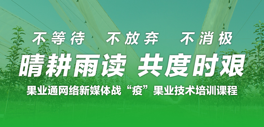 微信图片_20200216082320.jpg