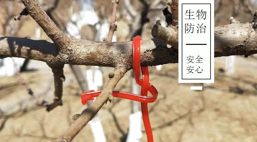 微信图片_20200217105920.jpg