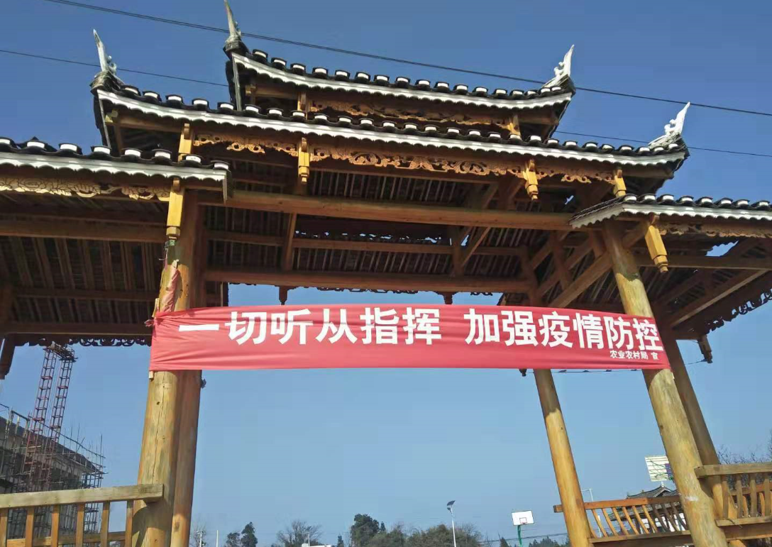 图片12.png