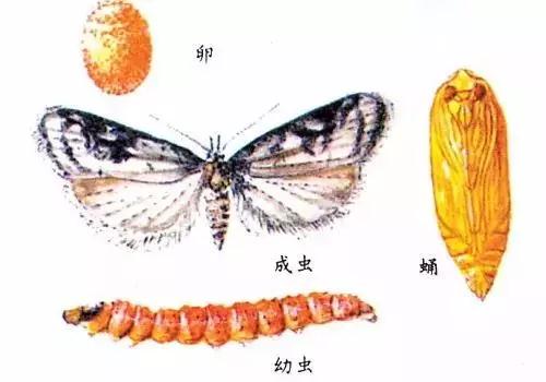 微信图片_20200220104414.jpg