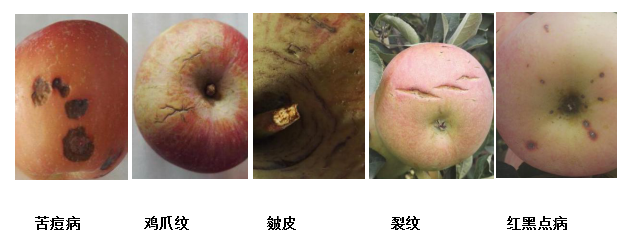 微信图片_20200229162243.png