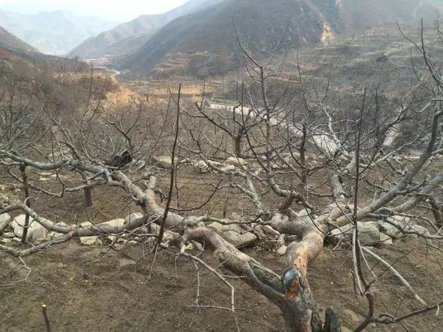 微信图片_20200301153048.jpg