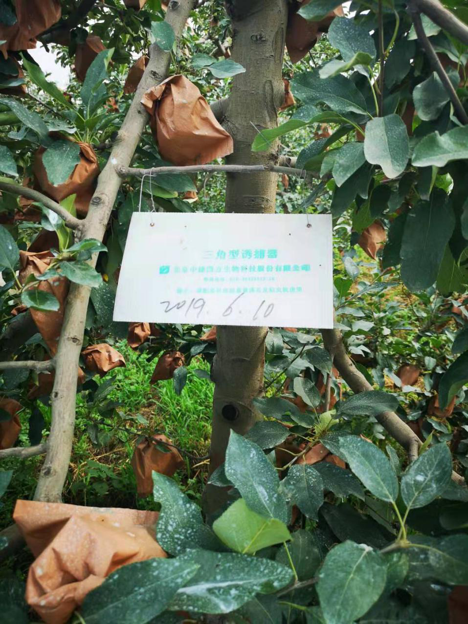 图片133.png